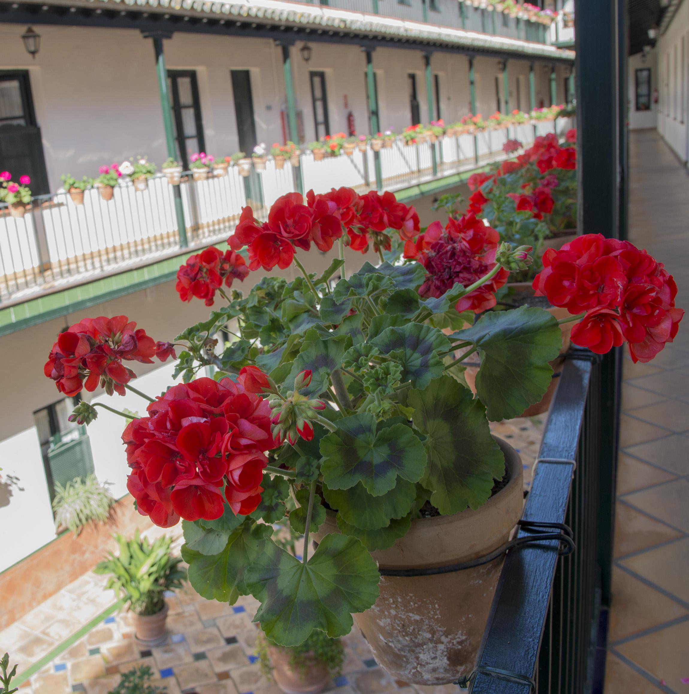 Corral De Los Chicharos Seville Exterior photo